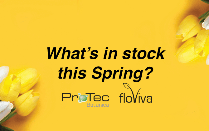What’s in stock this Spring? 🌼