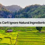 Blog name over the top of the picture of a forest with crops growing in the foreground