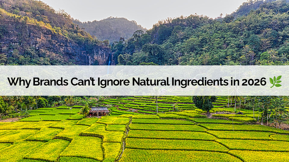 Blog name over the top of the picture of a forest with crops growing in the foreground